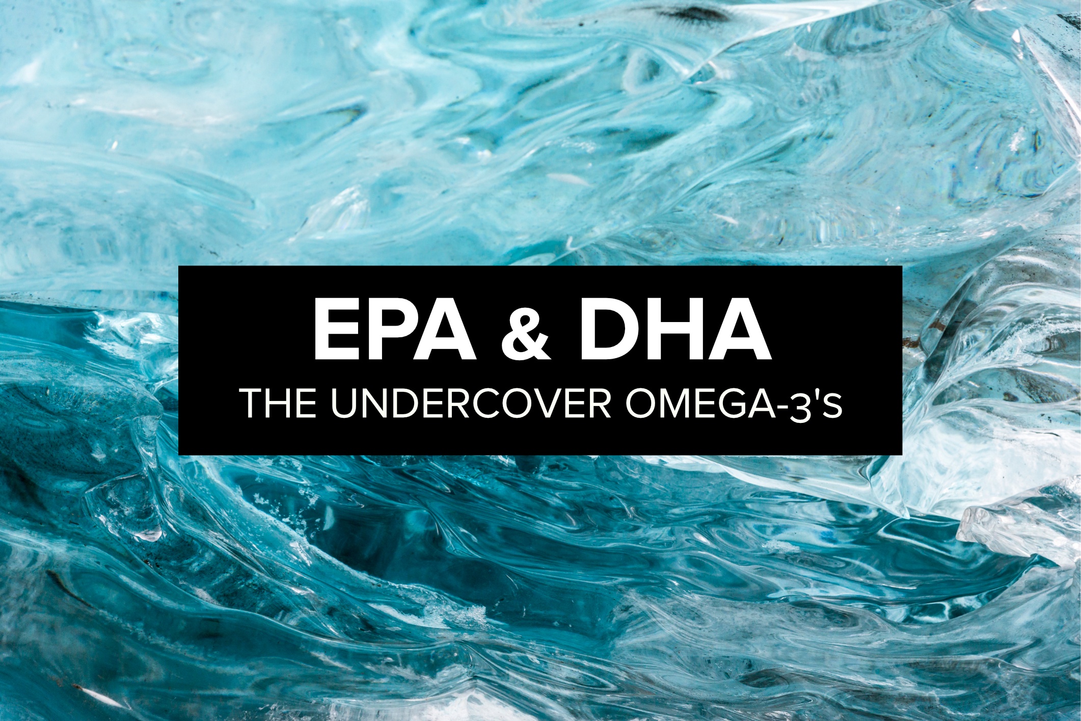 17epa dha