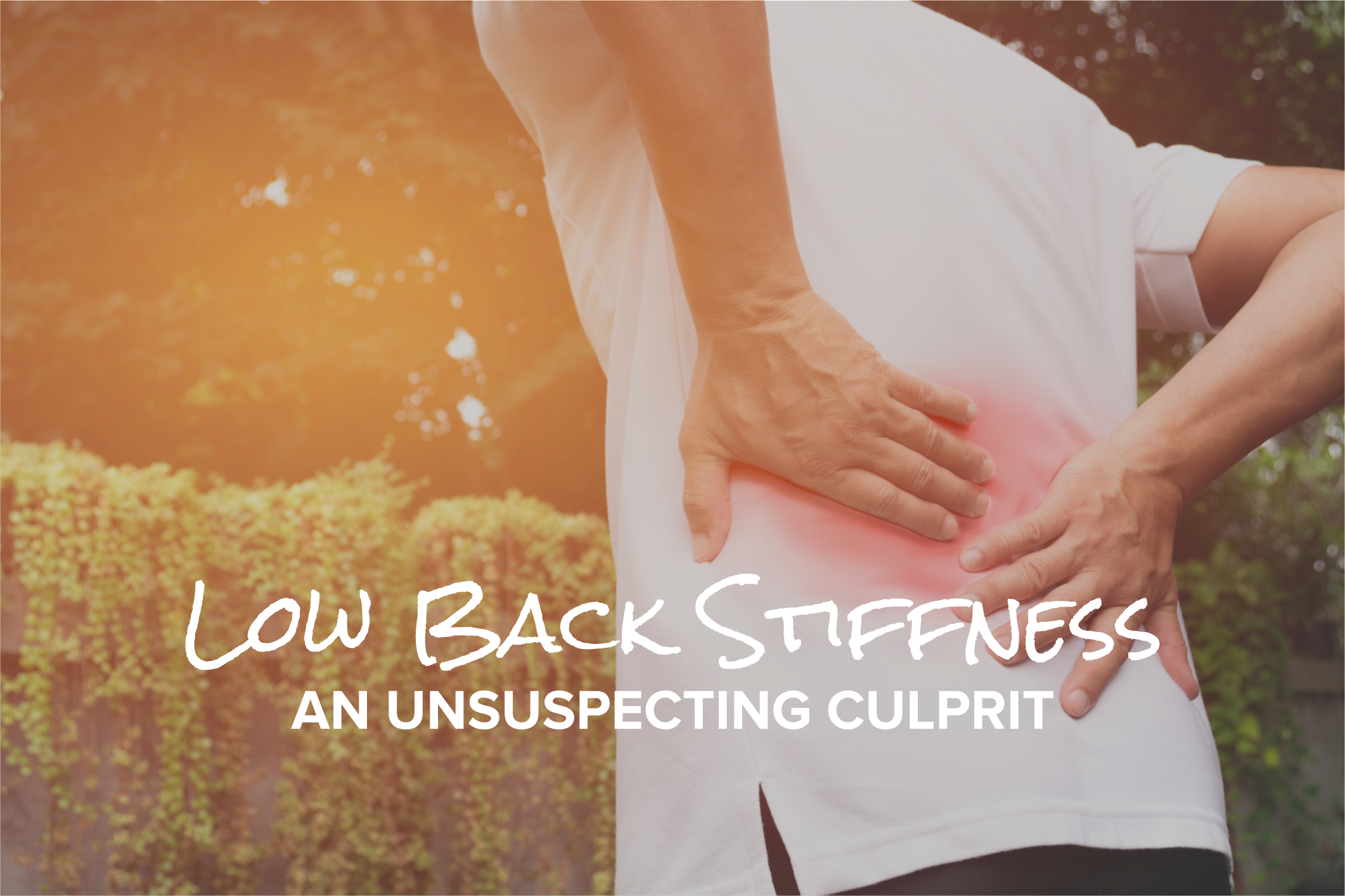 Hamstring and LBP-1