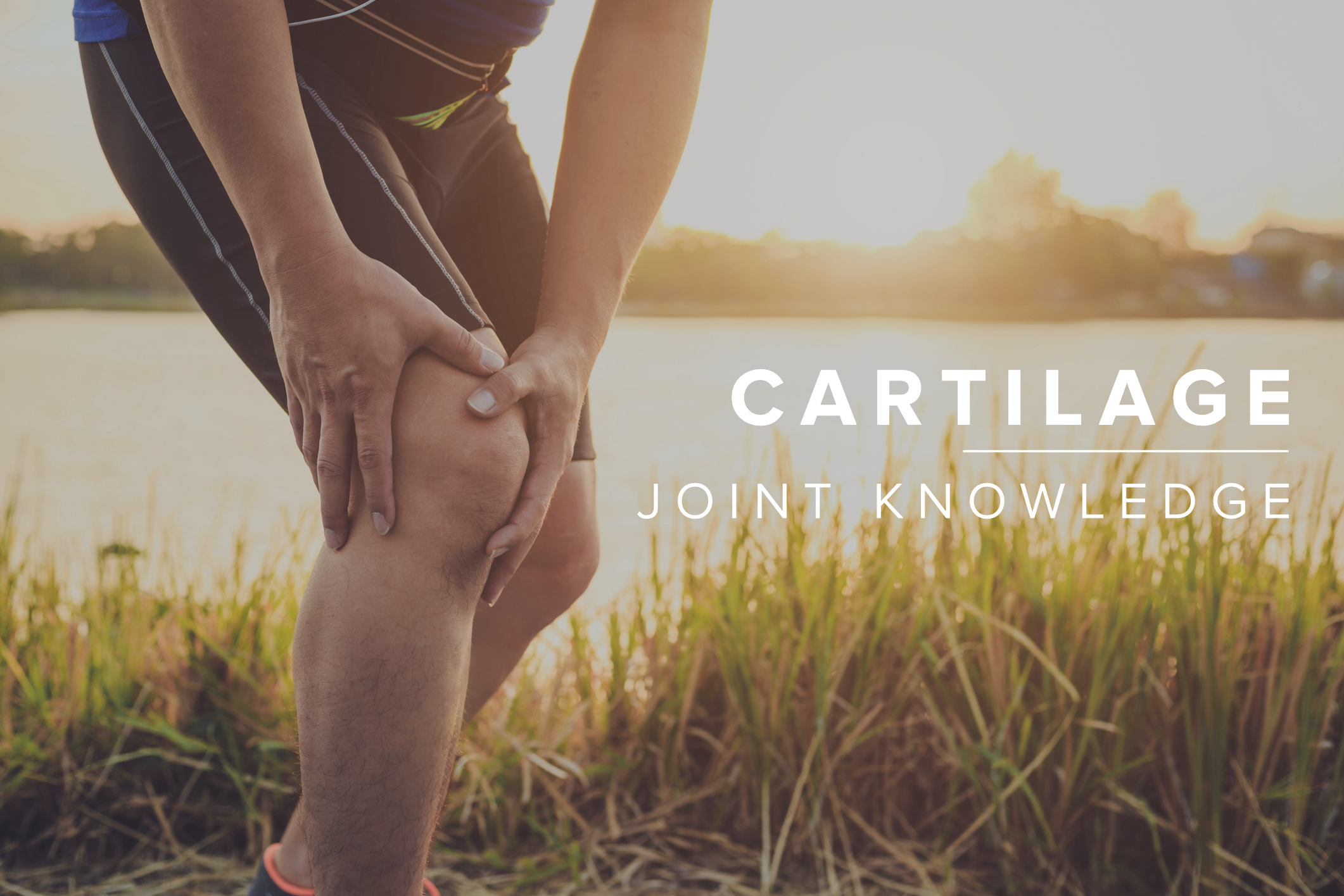 JK- Cartilage